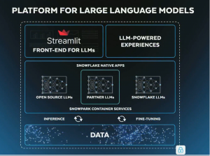 Snowflake Platform LLM