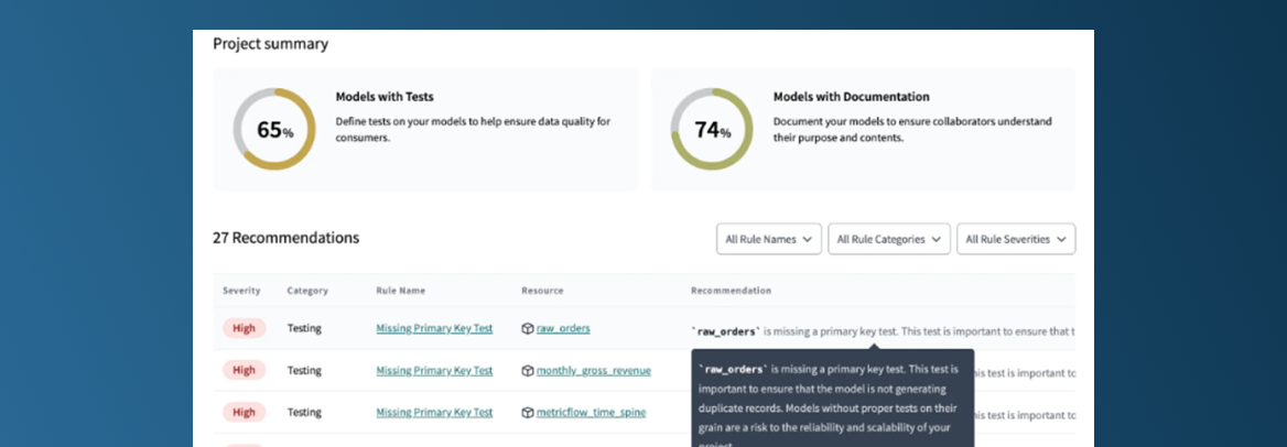 dbt-test-overview-data